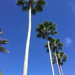 Meet your Posher, Hailey